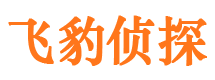 耒阳外遇出轨调查取证